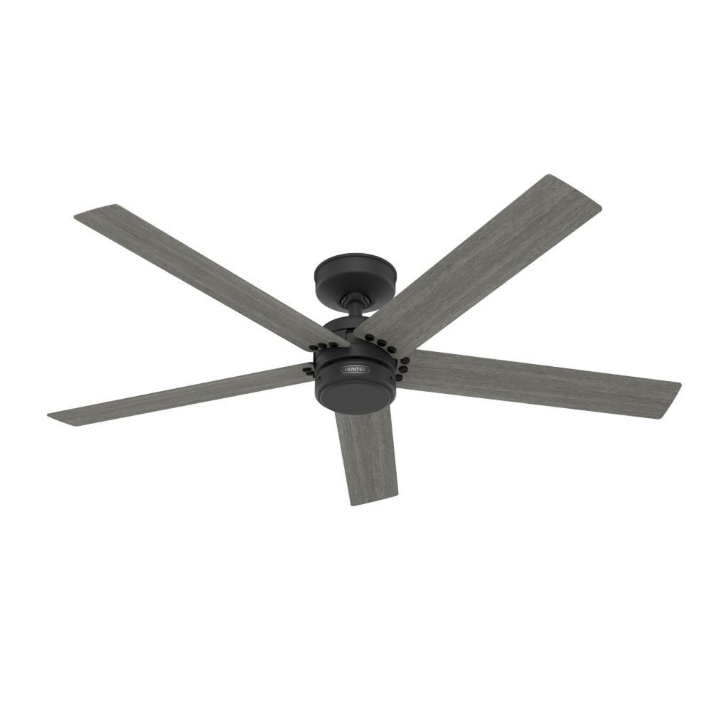 Hunter 52" Burton Outdoor Ceiling Fan with Wall Control