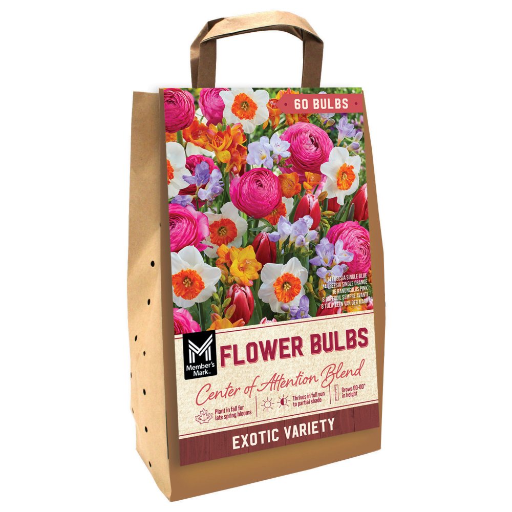 Member's Mark Center of Attention Blend Dormant Flower Bulbs, 60 pk.