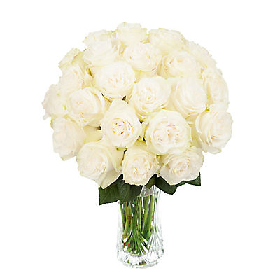 InBloom Simplicity Garden Rose Bouquet, 24 Stems