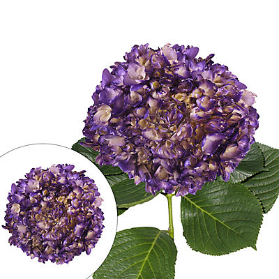 Hand Painted Metallic Purple Hydrangeas