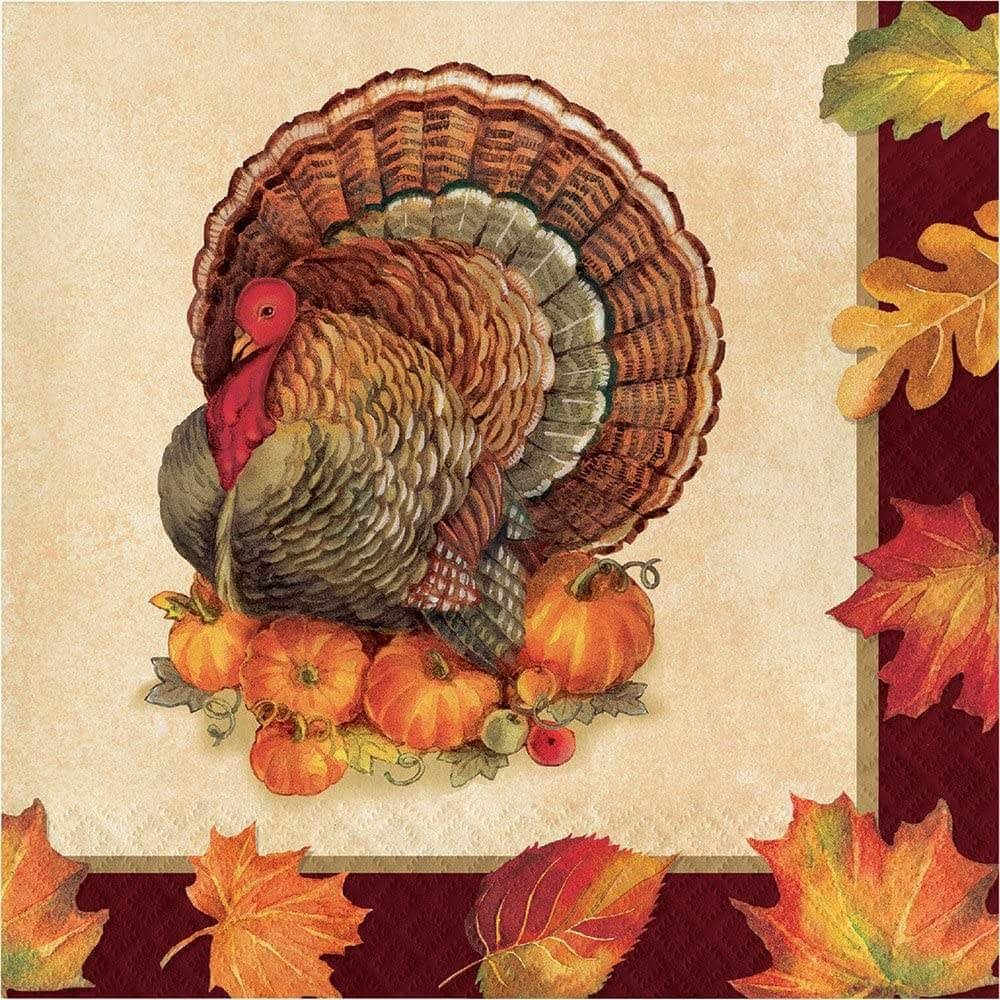 CREATIVE CONVERTING CREATIVE CONVERTING Napkin Turkey Traditional, 16 ea