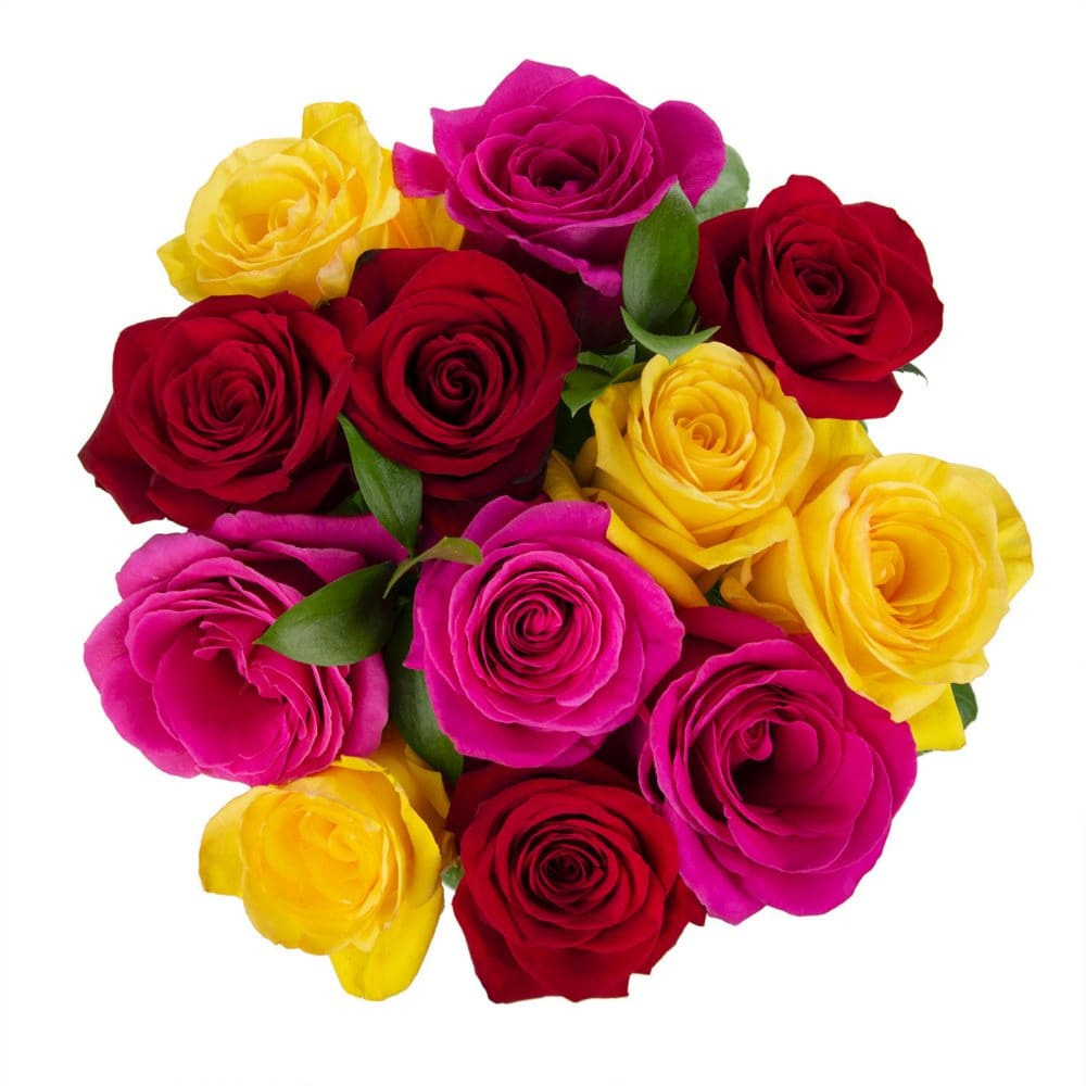 Member’s Mark Premium Rainbow Rose Bouquet (12 stem) - Floral Arrangements - Member’s