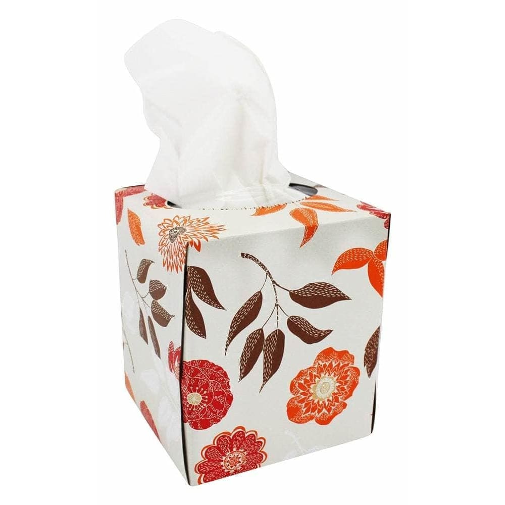 NATURAL VALUE Natural 100% Recycled Facial Tissues 85 Count, 1 Ea