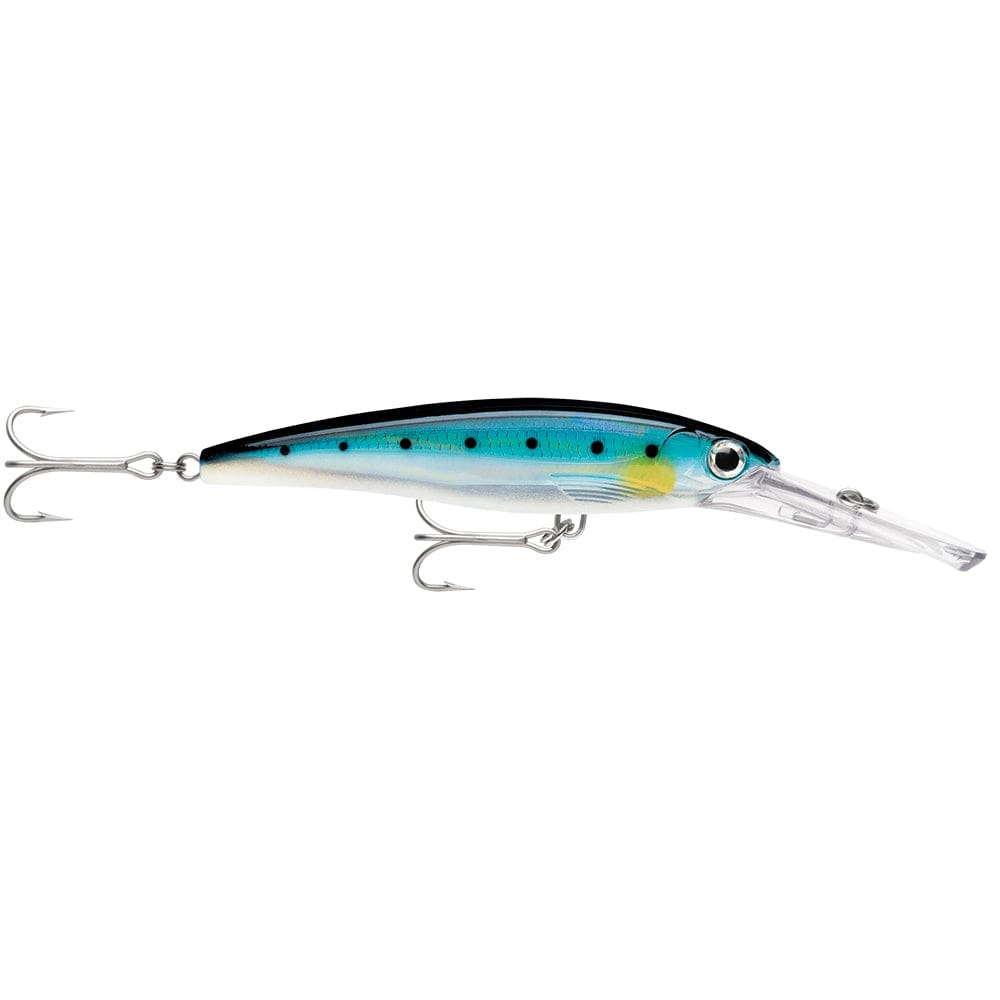 Rapala X-Rap® Magnum® 20 Sardine - Hunting & Fishing | Hard & Soft Baits - Rapala