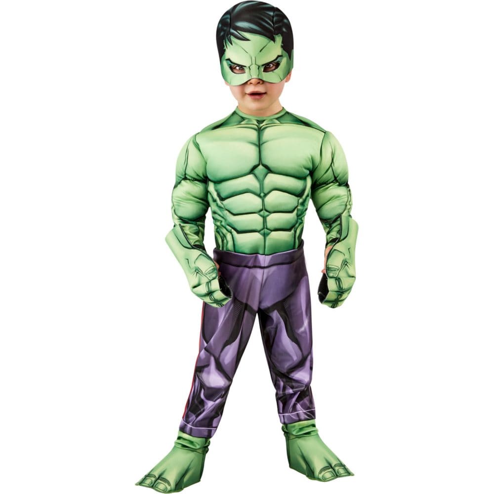 Rubies Toddler Hulk Halloween Costume - Sonic the Hedgehog - ShelHealth