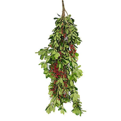 The Grinch Garland 25’ - Home/Flowers/Greenery & Fillers/ - InBloom