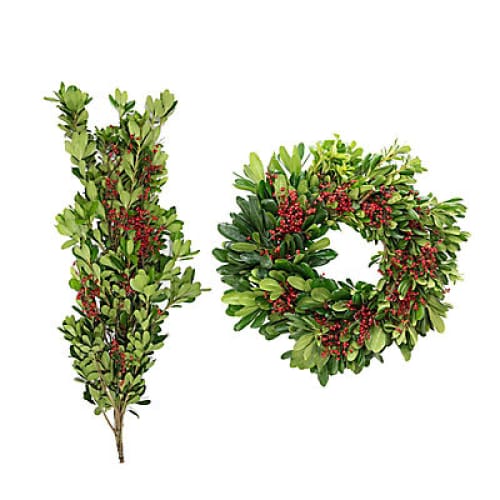 The Grinch Wreath and Garland - Home/Grocery/Specialty Shops/New To Grocery/ - InBloom