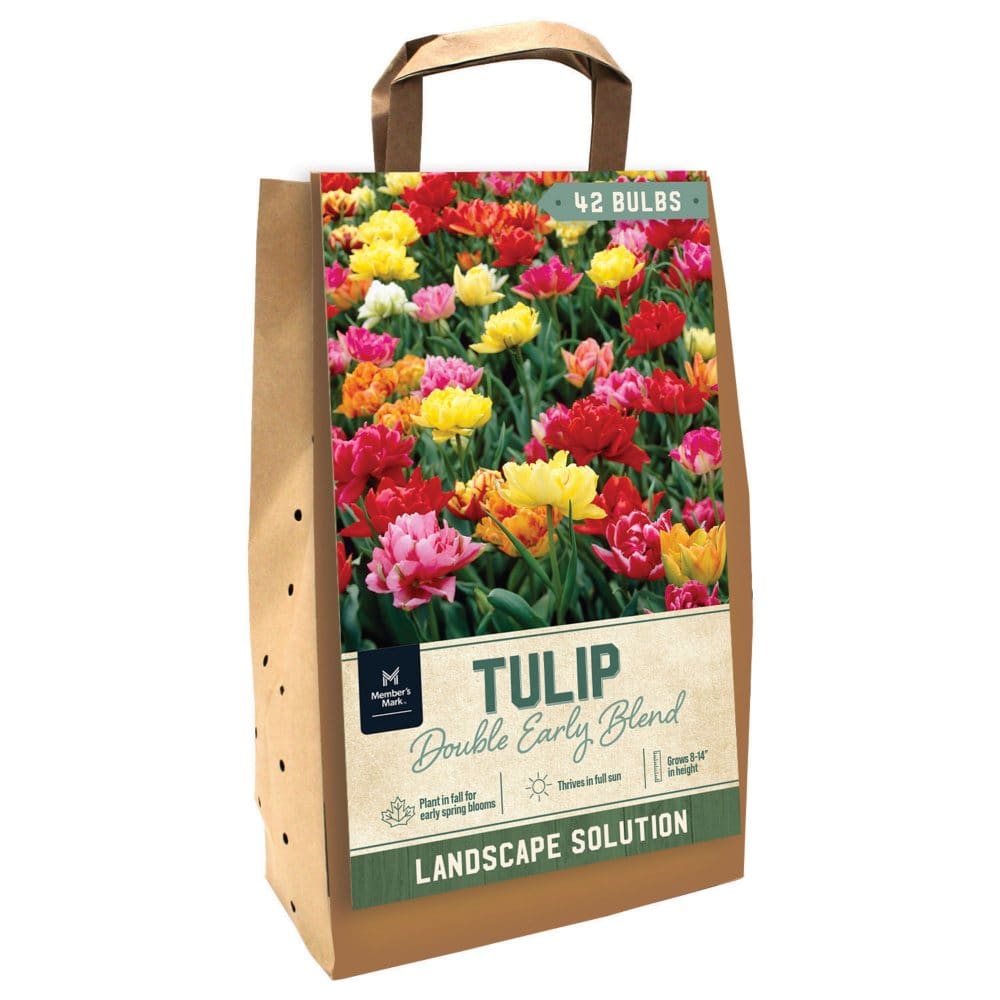 Tulip Double Early Mix - Package of 42 Dormant Bulbs - Seeds & Bulbs - Tulip