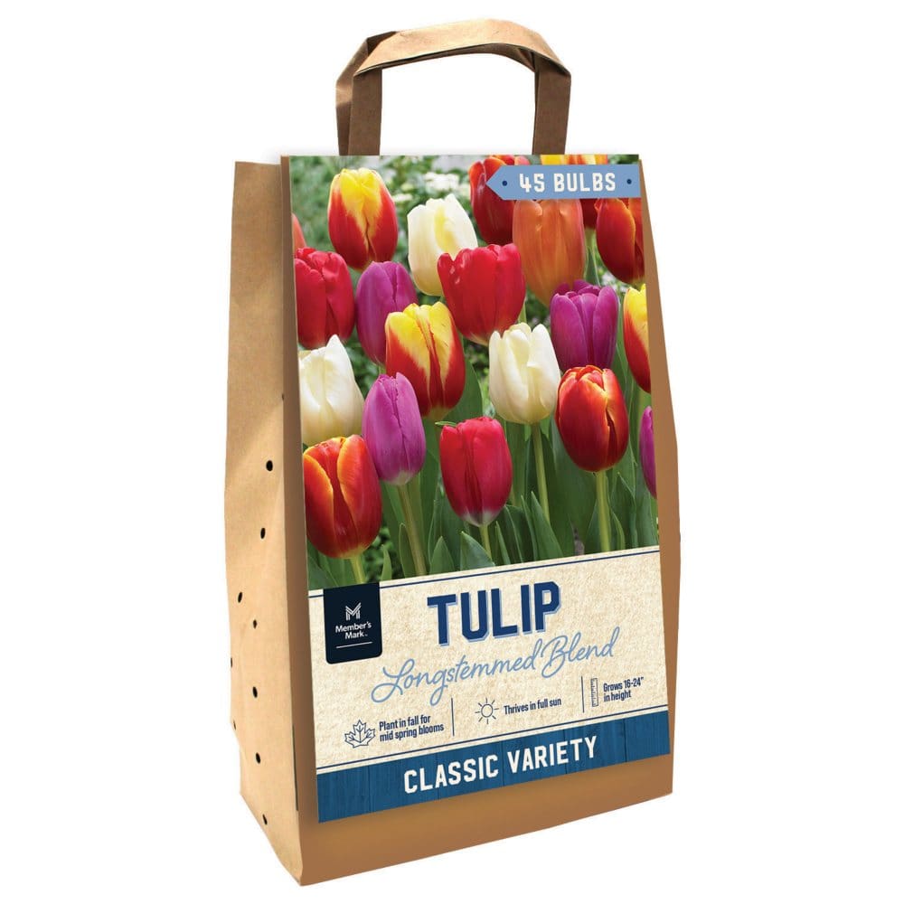 Tulip Long-Stemmed Mix - Package of 45 Dormant Bulbs - Seeds & Bulbs - Tulip
