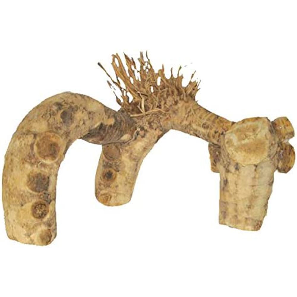 A and E Cages Spider Root 1ea-SM - Pet Supplies - A and E