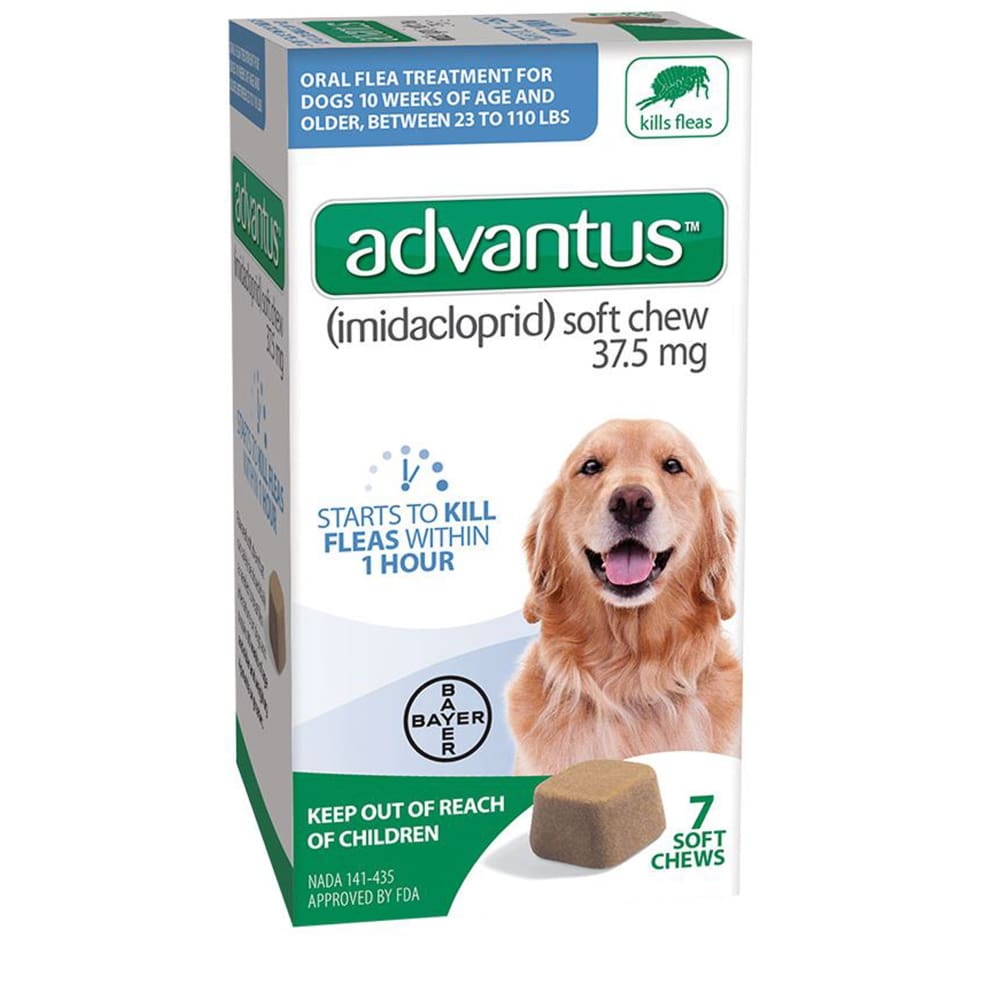 Advantus Dog Large 37.5mg Soft Chew 7ct. - Pet Supplies - Advantus