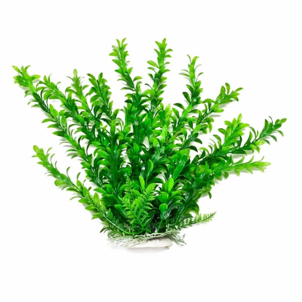 Aquatop Anacharis Aquarium Plant with Weighted Base Green; 1ea-6 in - Pet Supplies - Aquatop