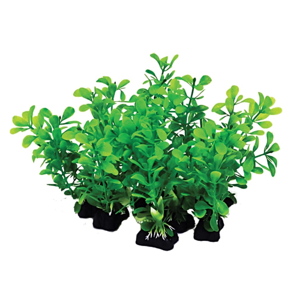 Aquatop Aquarium Plants Mix Green; 1ea-6 in; 12 pk - Pet Supplies - Aquatop