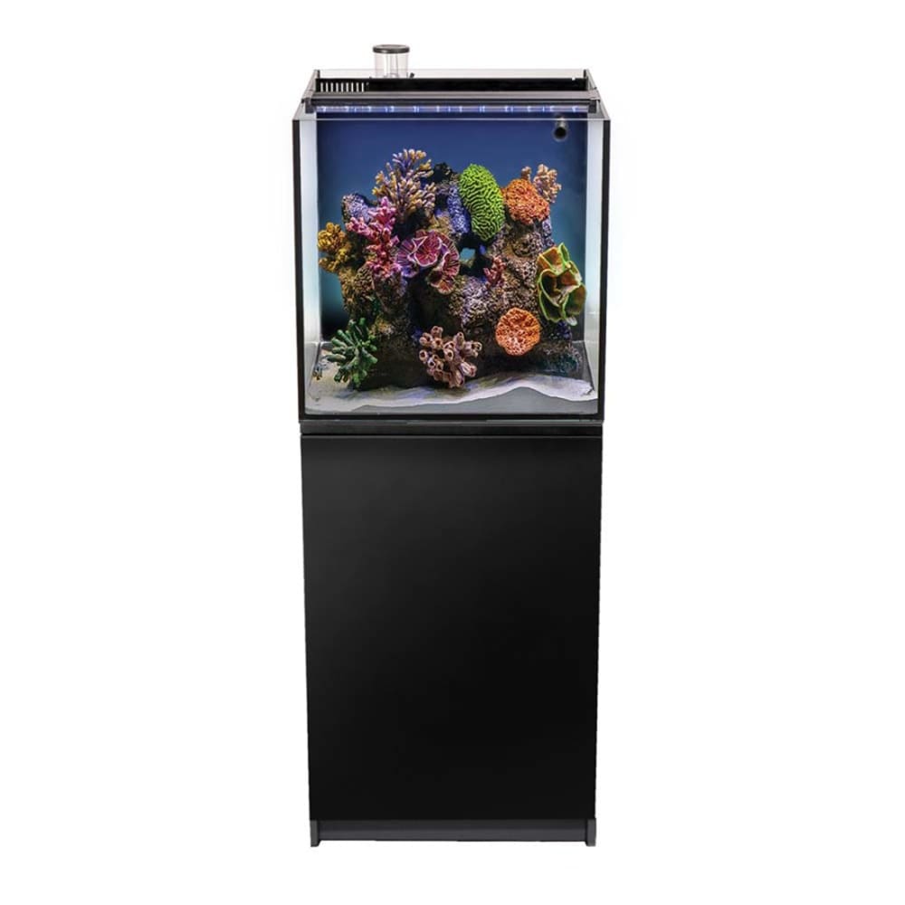 Aquatop Recife ECO Aquarium Kit with Stand Black Clear 1ea/40 gal - Pet Supplies - Aquatop