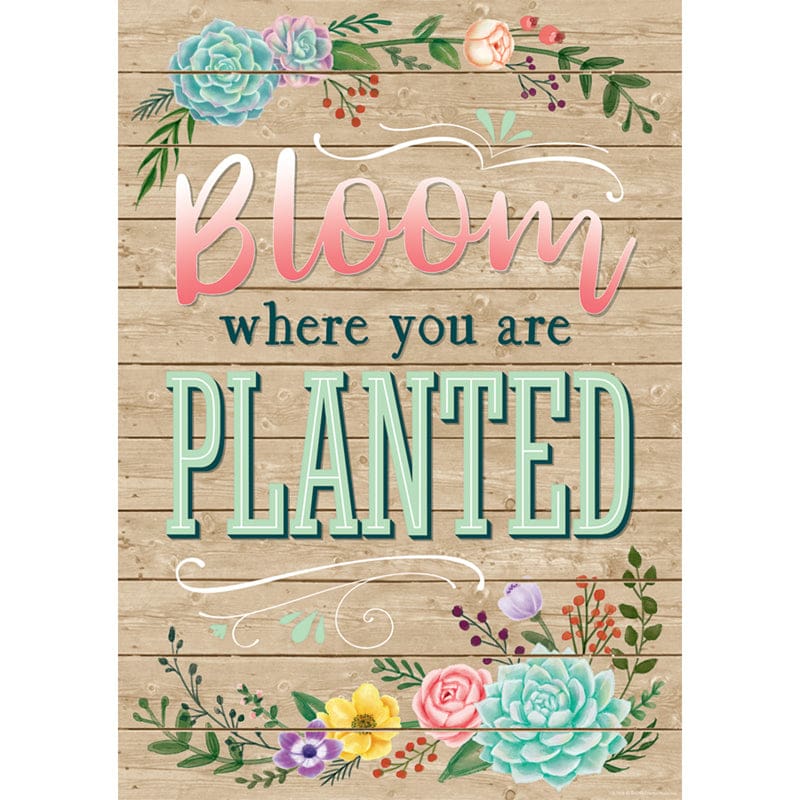 Bloom Where You Are Planted Poster (Pack of 12) - Motivational - Teacher Created Resources