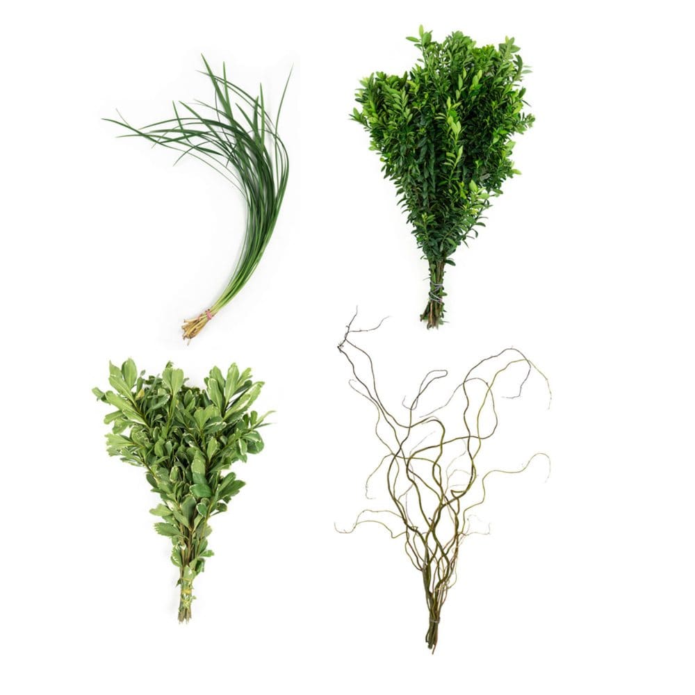 California Fresh Greenery Mix (20 bunches) - Fillers & Greenery - California