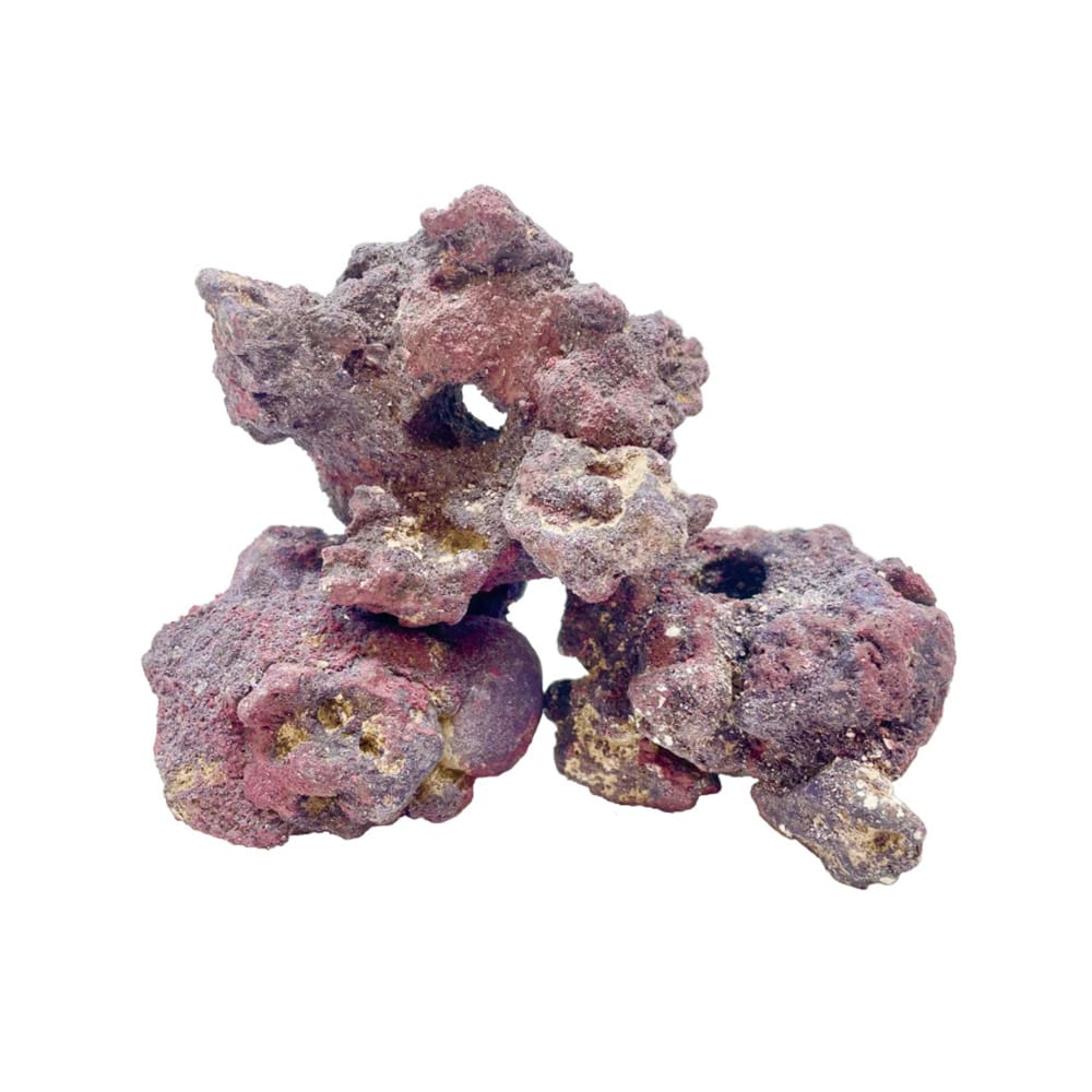 CaribSea LifeRock Fraggerz 1ea-10 pk - Pet Supplies - CaribSea