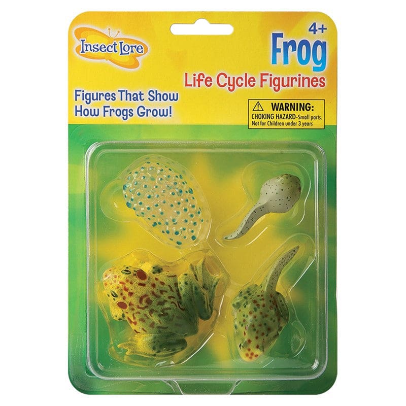 Frog Life Cycle Stages (Pack of 6) - Animal Studies - Insect Lore