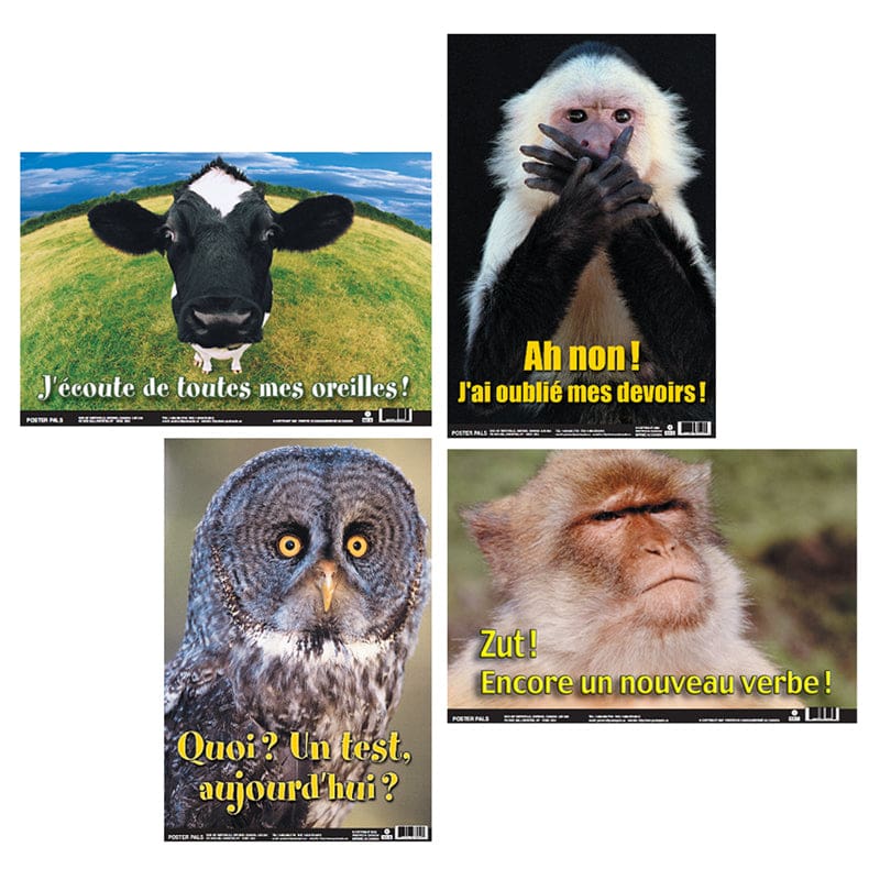 Fun Photo Posters Set #5 French (Pack of 6) - Charts - Poster Pals