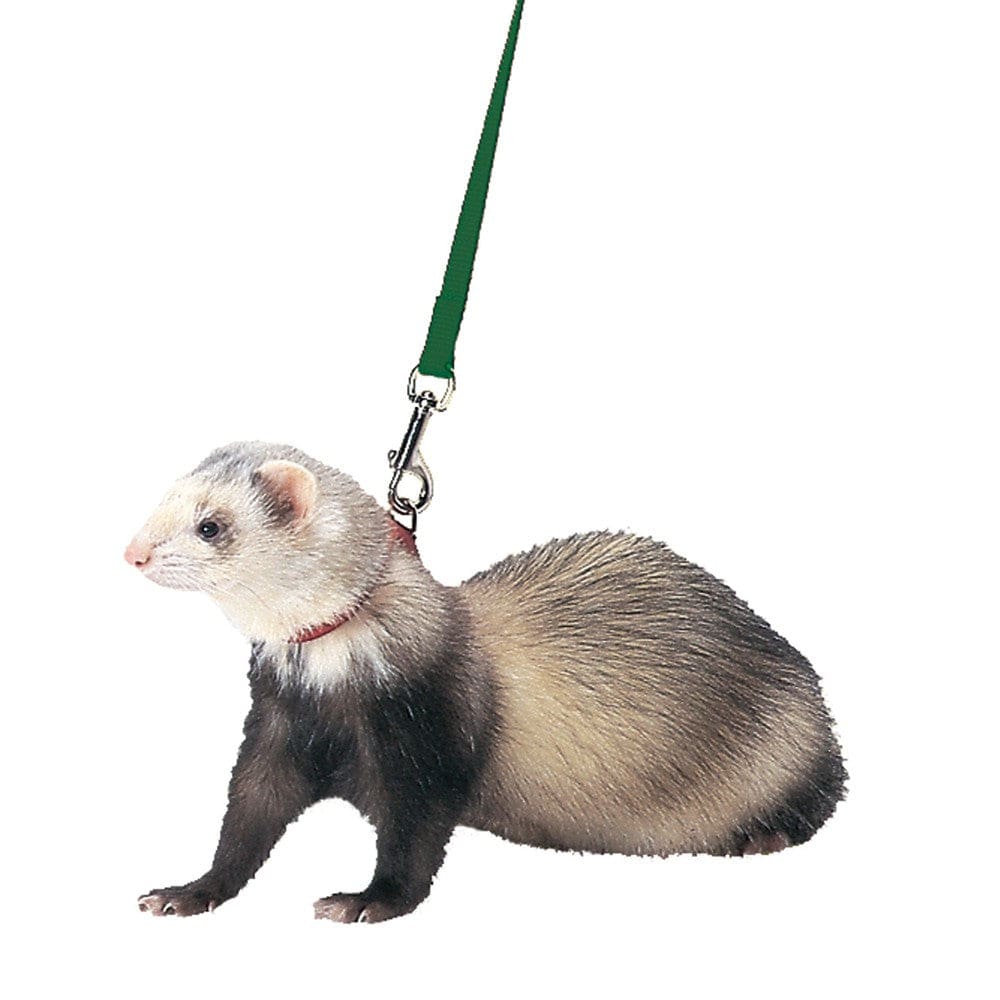 Marshall Pet Products Ferret Harness and Lead Set Black - Pet Supplies - Marshall