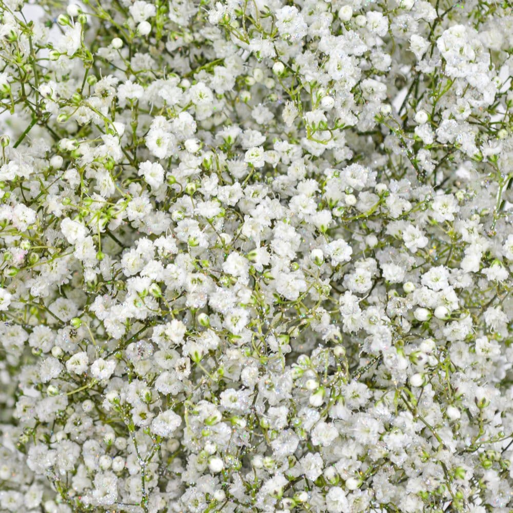 Floral Glitter Applications, Glitter for Flowers - Meadowbrook Glitter