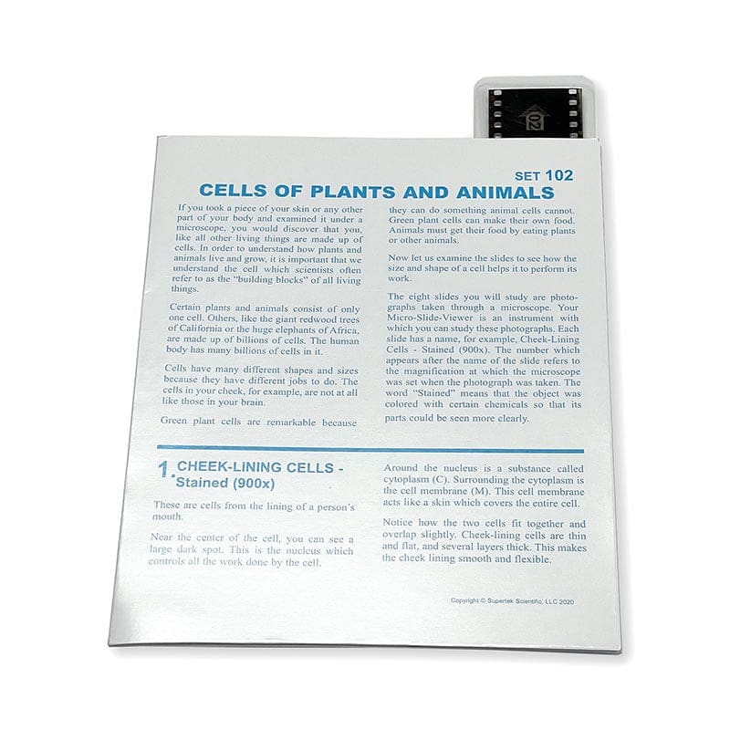 Microslide-Cells Of Plnt/Animals (Pack of 6) - Microscopes - Supertek Scientific
