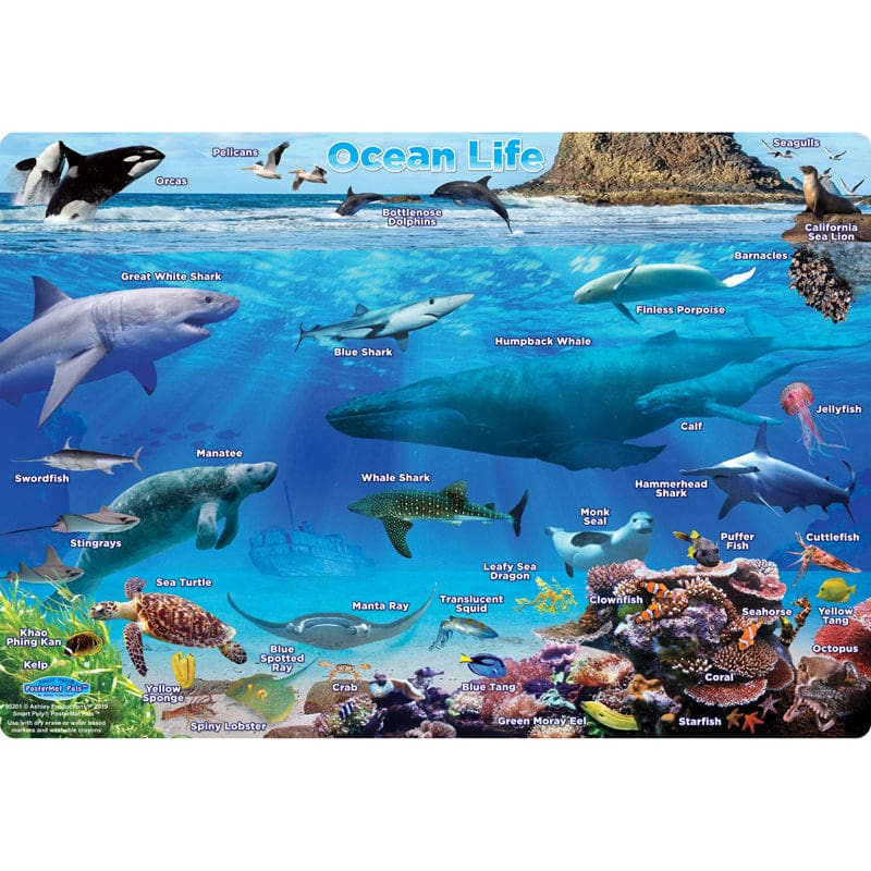 Ocean Life Postermt Pals Smart Poly Single Sided (Pack of 12) - Science - Ashley Productions