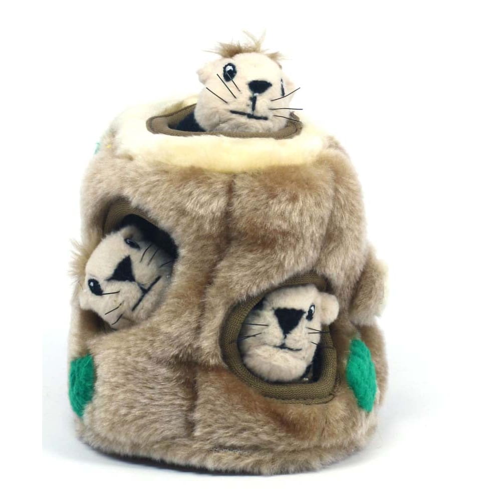 Outward Hound Hide-A-Squirrel Dog Toy Small - Pet Supplies - Outward Hound