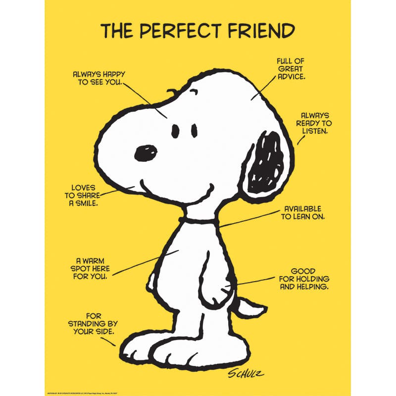 Peanuts The Perfect Friend 17X22 Poster (Pack of 12) - Motivational - Eureka