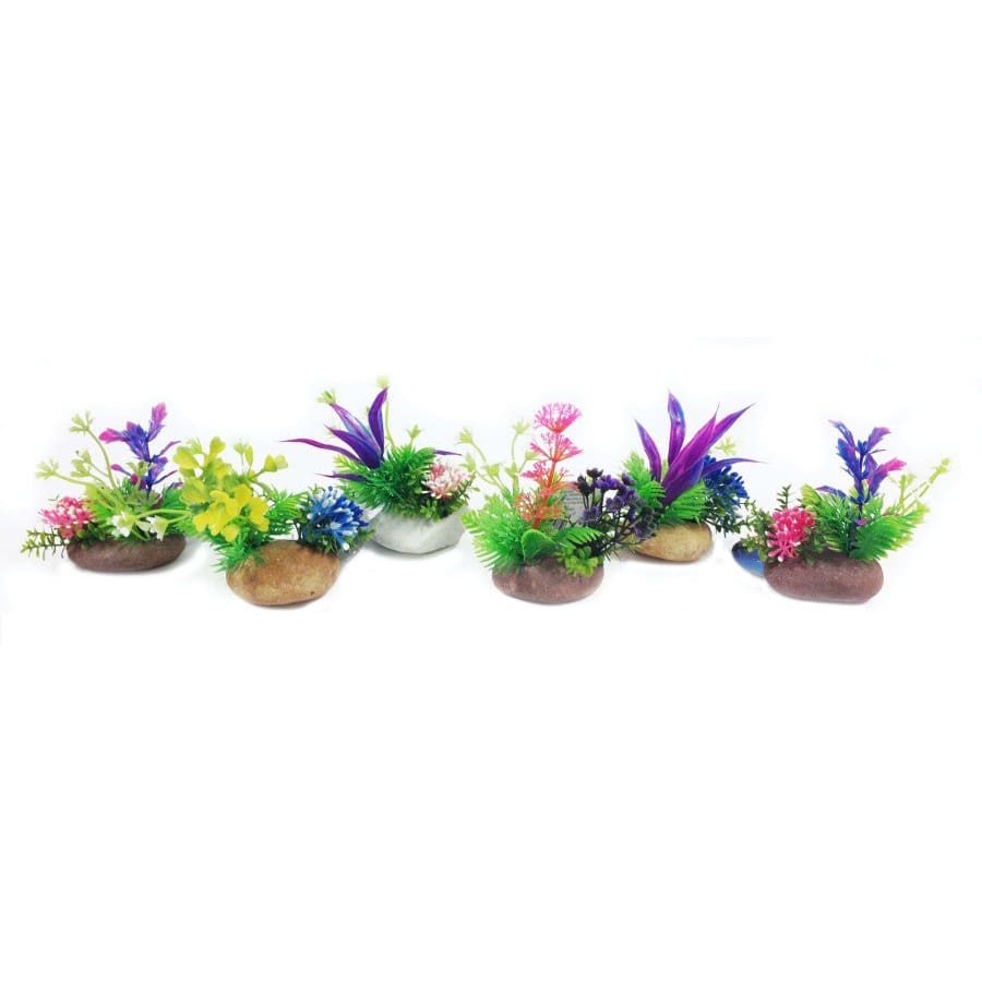 Penn-Plax Rock Aquarium Plant Style Assorted 6 in 6 Count - Pet Supplies - Penn-Plax