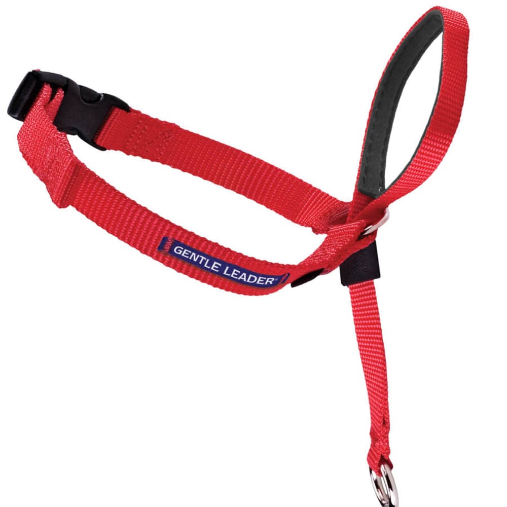 PetSafe Headcollar No-Pull Dog Collar Red Small - Pet Supplies - PetSafe