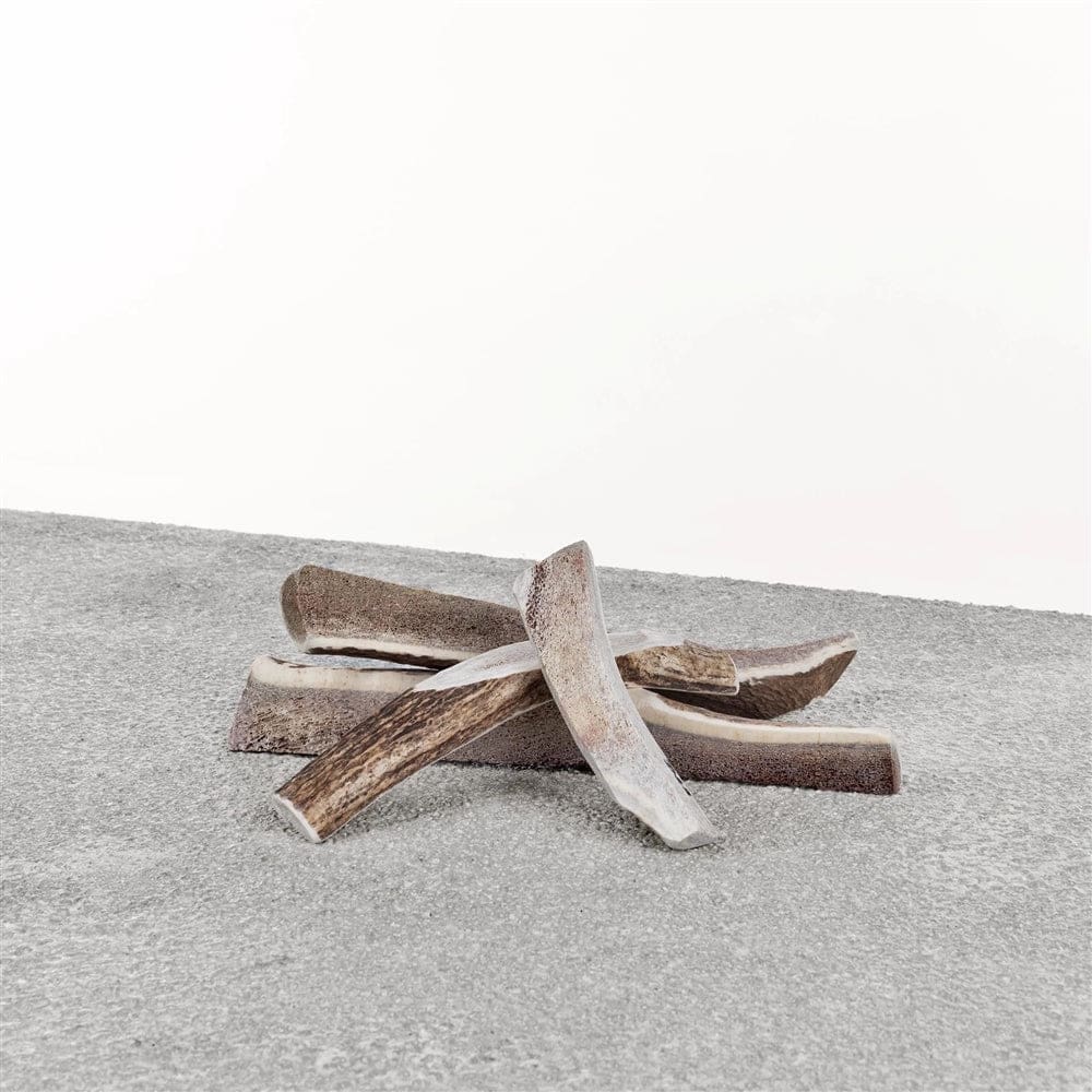 PRIMAL DOG STAG ANTLER XL - Pet Supplies - PRIMAL Pet Foods