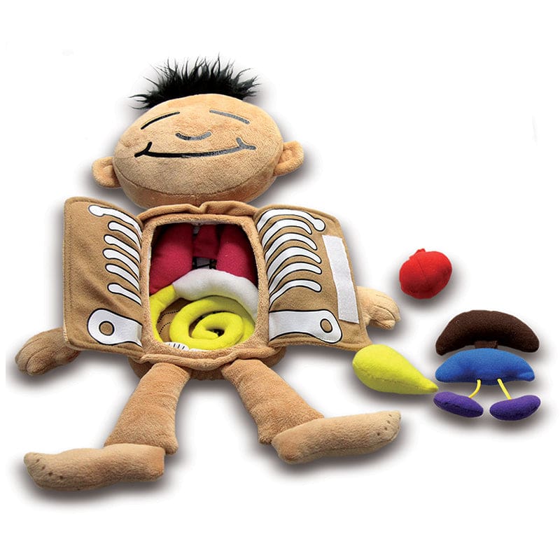 Whats Inside Me Doll - Human Anatomy - Roylco Inc.