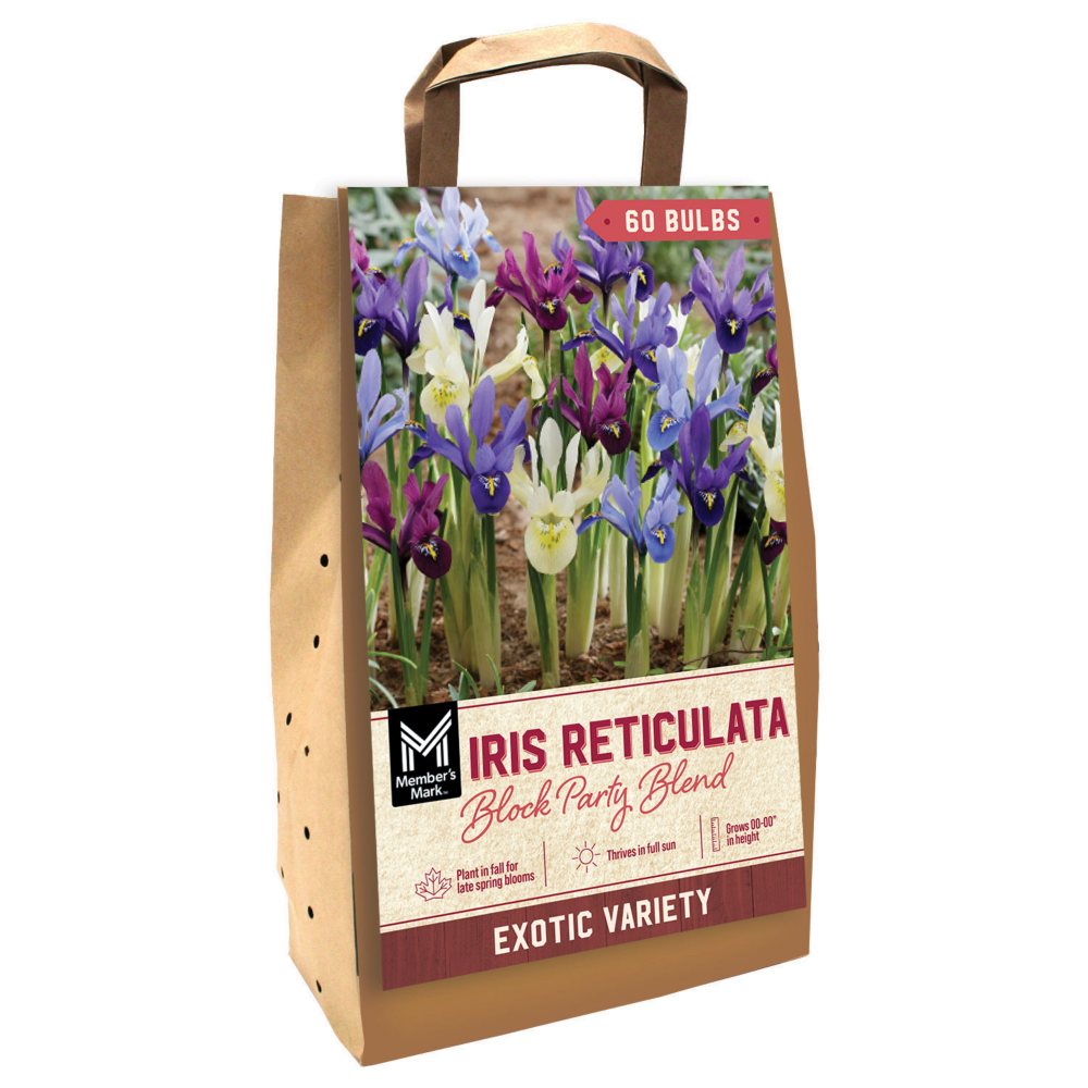 Member's Mark Block Party Blend Dormant Flower Bulbs, 60 pk.
