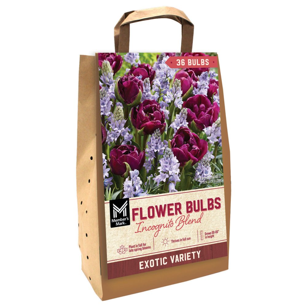 Member's Mark Incognito Blend Dormant Flower Bulbs, 36 pk.