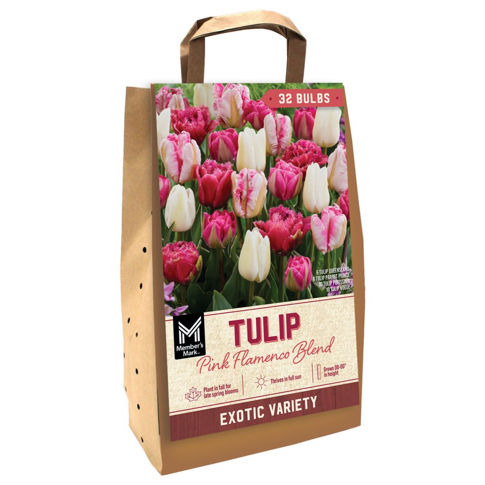 Member's Mark Pink Flamenco Blend Dormant Flower Bulbs, 32 pk.