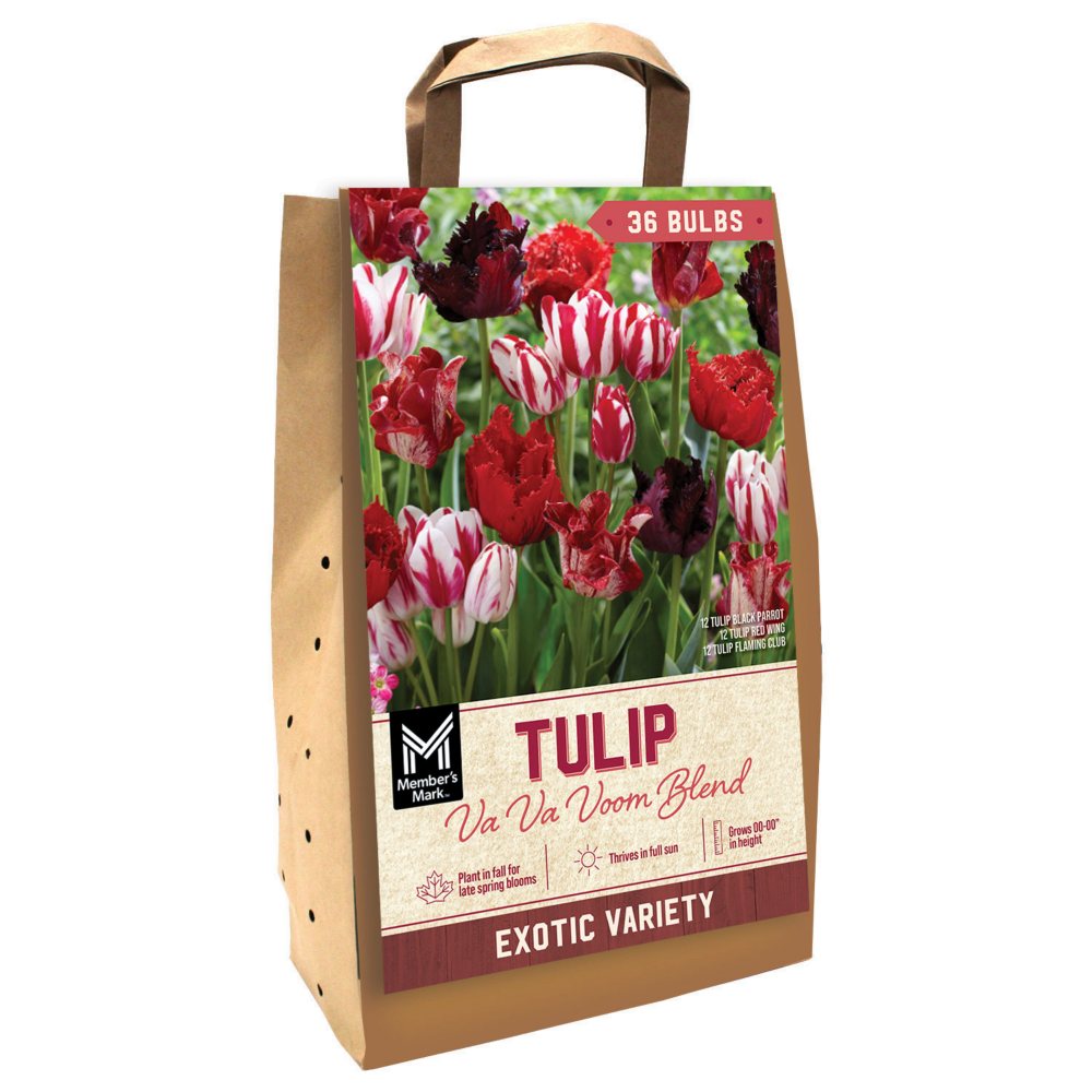 Member's Mark Va Va Voom Blend Dormant Flower Bulbs, 36 pk.