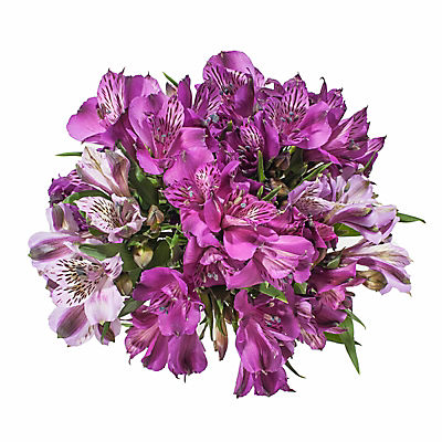 InBloom Alstroemeria, 120 Stems - Purple