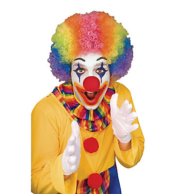 Rainbow Economy Clown Wig