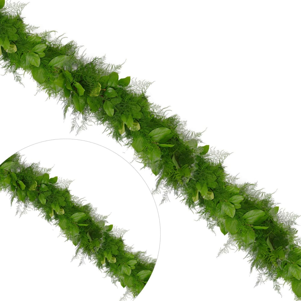 25’ x 5 Plumosa and Salal Garland - InBloom