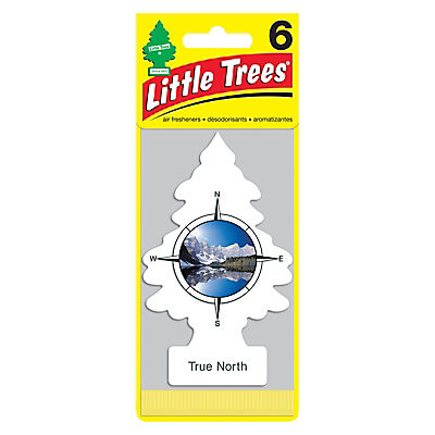 Little Trees True North Air Freshener, 6 pk.
