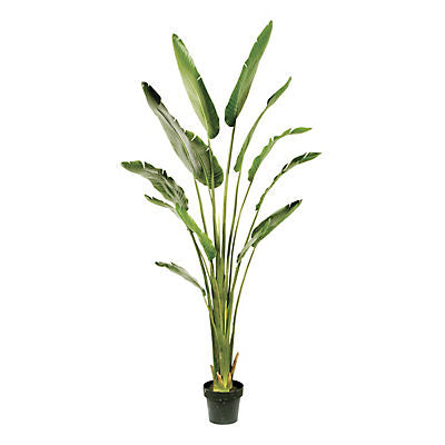 Winward 6' Potted Travelers Palm Decorative Artificial Plant