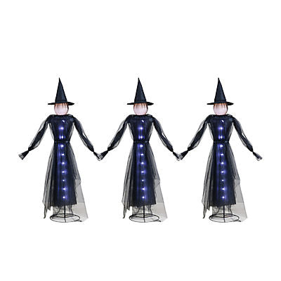 Berkley Jensen Set of 3 LED Witches with Spooky Sounds