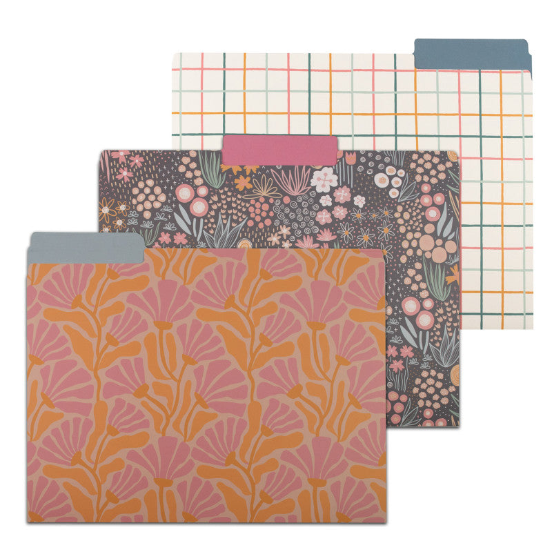 File Folders Assorted Designs 6/Pk Signature Series (Pack of 10)