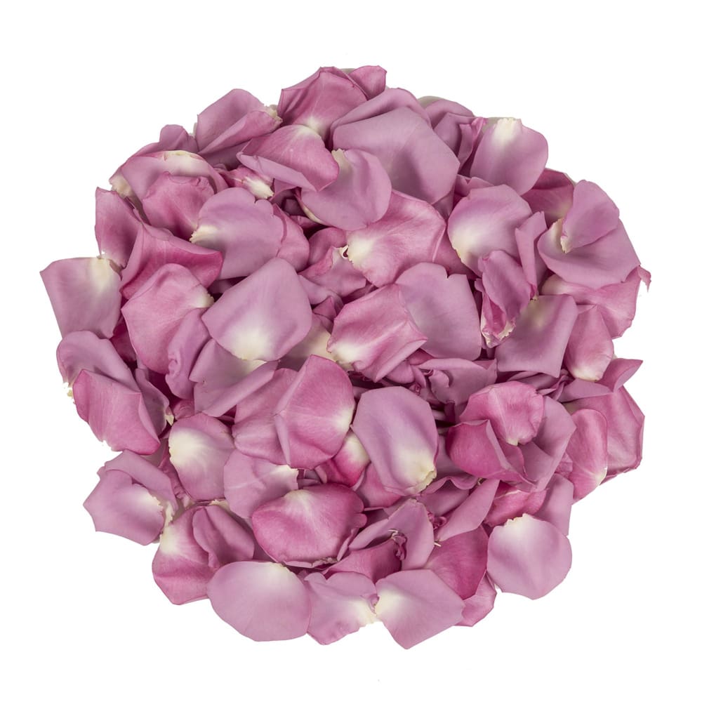 5,000 Rose Petals - Lavender - InBloom