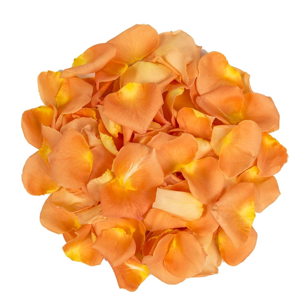 5,000 Rose Petals - Orange - InBloom
