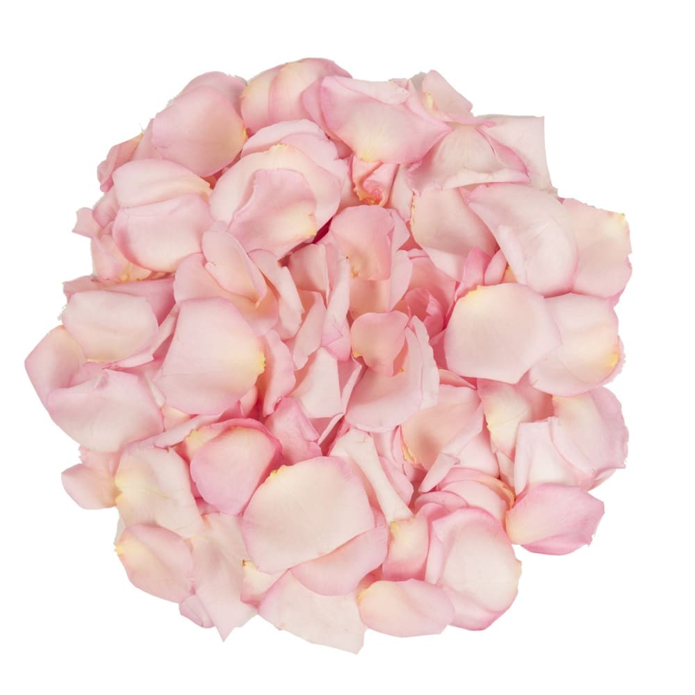 5,000 Rose Petals - Pink - InBloom