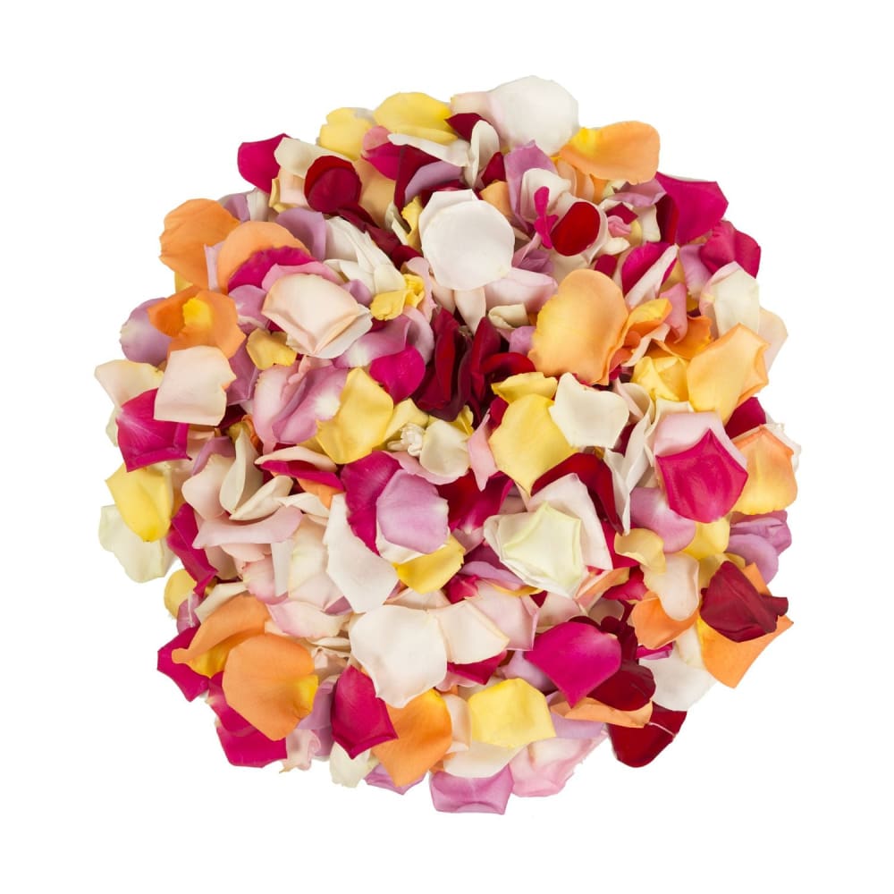 5,000 Rose Petals - Rainbow - InBloom