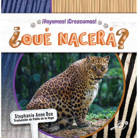 Que Nacera (Pack of 6)