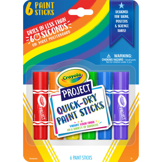 6Ct Project Quick-Dry Paint Sticks (Pack of 10)